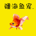 疆海鱼宠二店