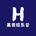 黑夜欢乐谷