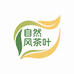 松灿茶叶
