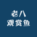老八观赏鱼