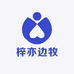 熊大边牧