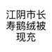 江阴市长寿鹅绒被现充店