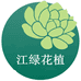 江绿花植