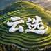 陕北云选特产