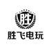 胜飞电玩专营店