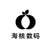 淘桃数码