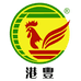 港丰瑶山鸡