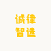 诚律智选