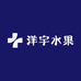 洋宇水果