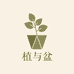 植与盆园艺美学店