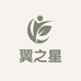 翼之星