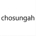 chosungah美妆旗舰店