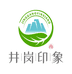 井岗印象茶叶