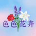 昆明百色永生花花卉公司