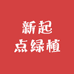 新起点绿植