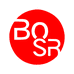 BOSR国际电工