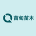 苗甸苗木