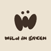 绿野诗篇wildingreen假睫毛