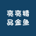 亮亮精品金鱼