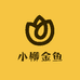 小柳金鱼