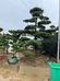 锄一田