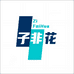 子非花模型