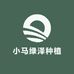 小马绿泽种植园