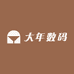 大年数码
