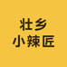 壮乡小辣匠食品店