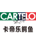 长沙嘉正数字科技有限公司781专卖店