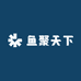 鱼聚天下