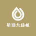 星期九绿植
