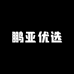 鹏亚优选