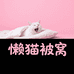 懒猫被窝