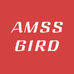 AMSSGIRD女装