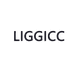 LIGGICC服饰配件旗舰店