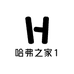 哈弗之家1