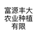 乔花小店