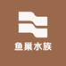 鱼巢水族