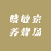 晓敏家养蜂场