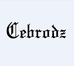 Cebrodz运动户外旗舰店