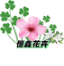 恒鑫花卉绿植盆栽