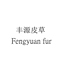 丰源皮草个体店