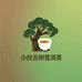 小伙古树普洱茶