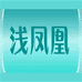 浅凤凰企业店