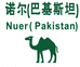 巴基斯坦手工艺品