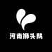 兰考县狮头鹅家庭农场