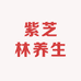 紫芝林养生店