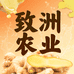 致洲果蔬海洋一号