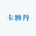 卡狮丹服饰企业店